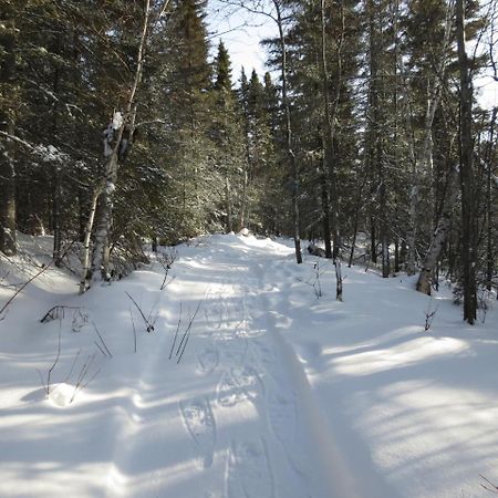 Residence Touristique Lodge Des Bois Saint-Félix-d'Otis エクステリア 写真