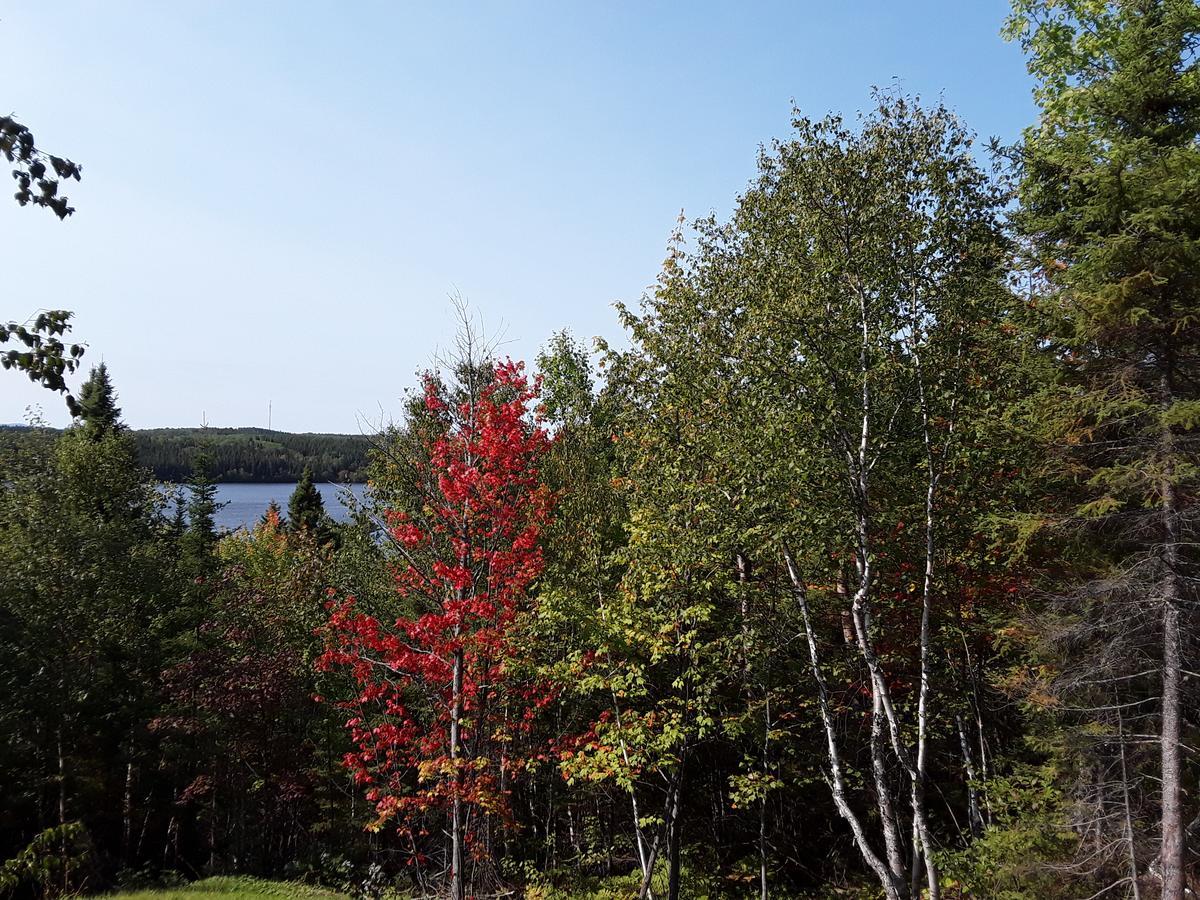 Residence Touristique Lodge Des Bois Saint-Félix-d'Otis エクステリア 写真