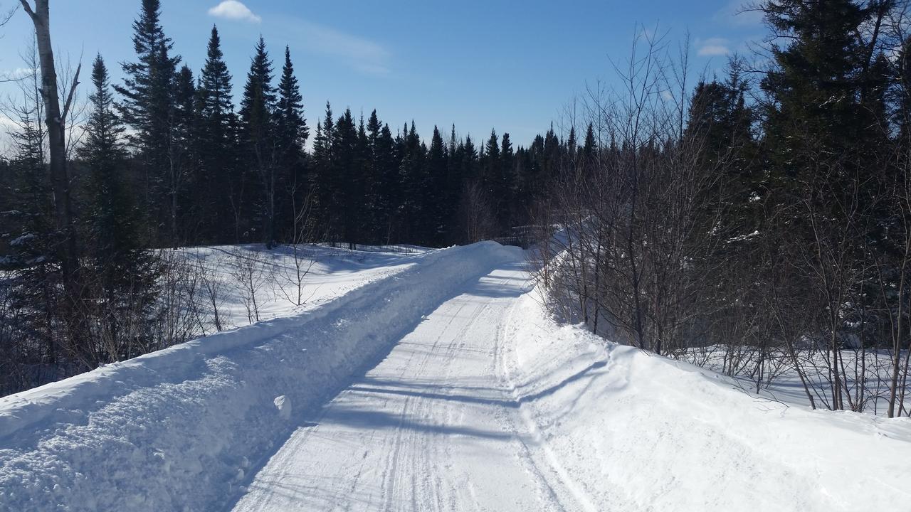 Residence Touristique Lodge Des Bois Saint-Félix-d'Otis エクステリア 写真
