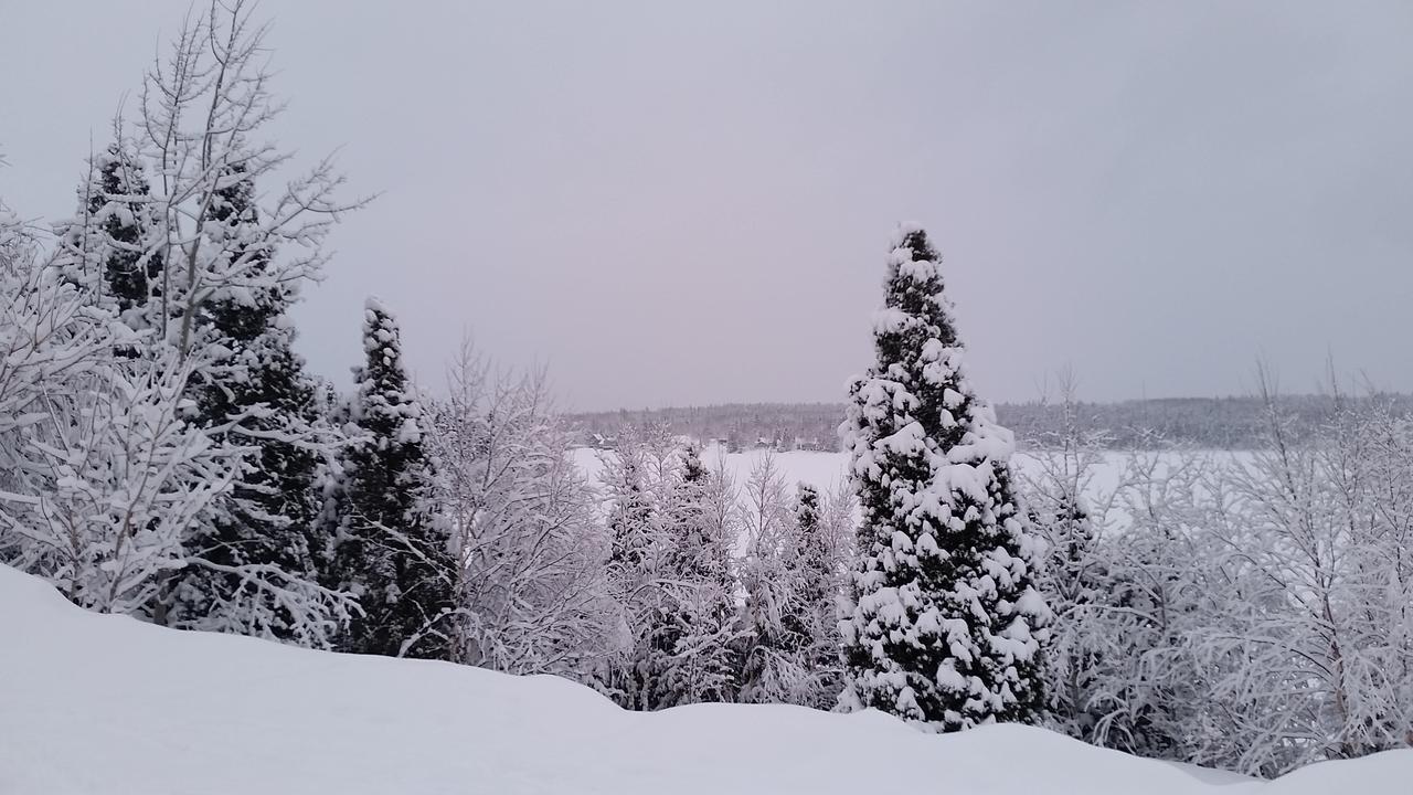 Residence Touristique Lodge Des Bois Saint-Félix-d'Otis エクステリア 写真
