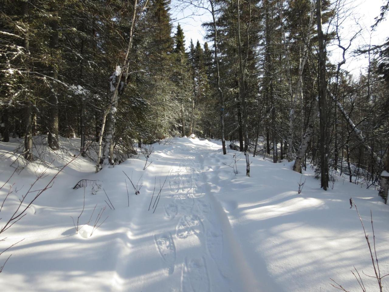 Residence Touristique Lodge Des Bois Saint-Félix-d'Otis エクステリア 写真