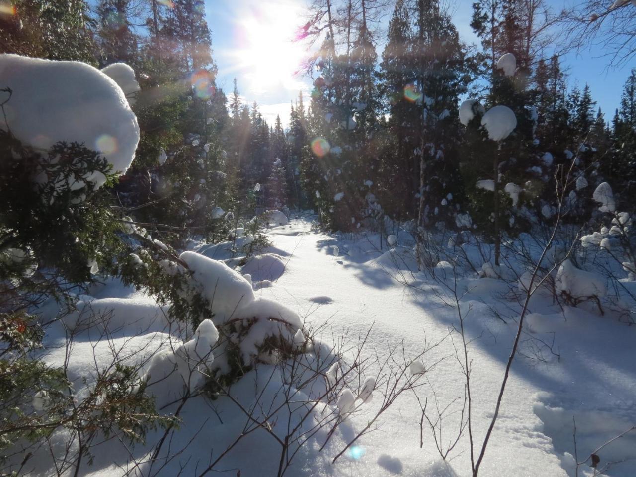 Residence Touristique Lodge Des Bois Saint-Félix-d'Otis エクステリア 写真